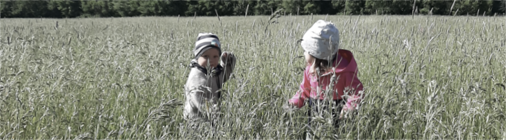 Konzept der Kindertagespflege
